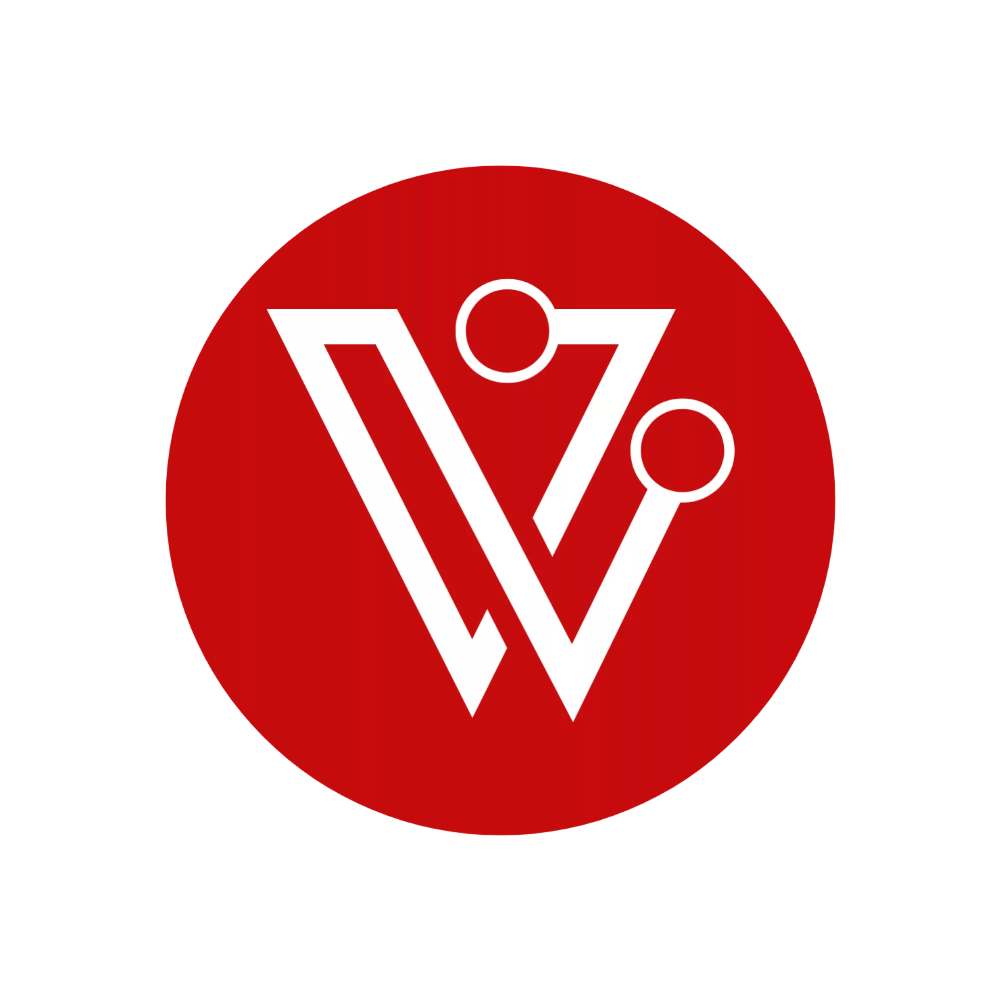 Valentina Vandilli Srl